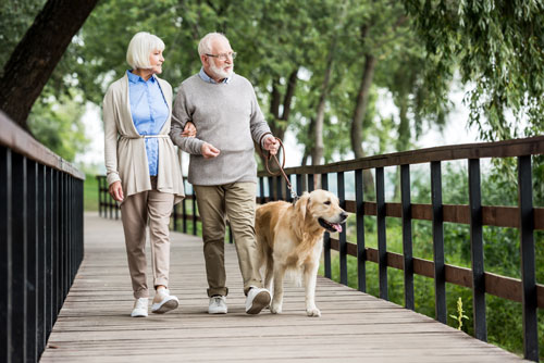 Elder couple walking dog over bridge